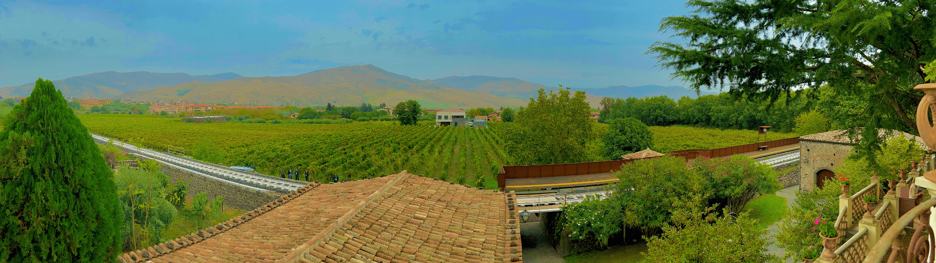 view of campore vineyard as part of Taormina Itinerary
