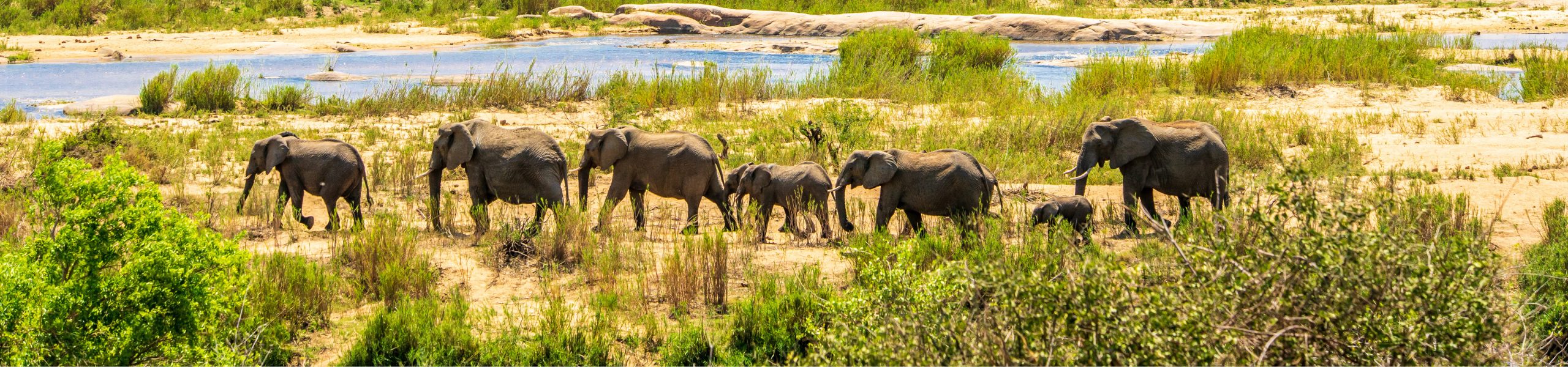 Discovering Tanzania - Serengeti National Park 