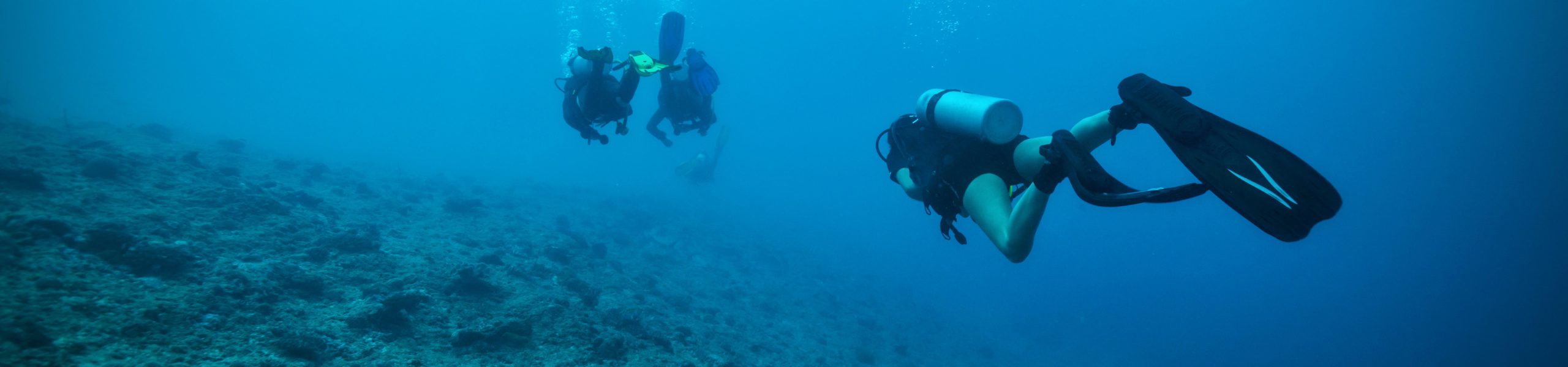 Cayman Islands activities - snorkelling