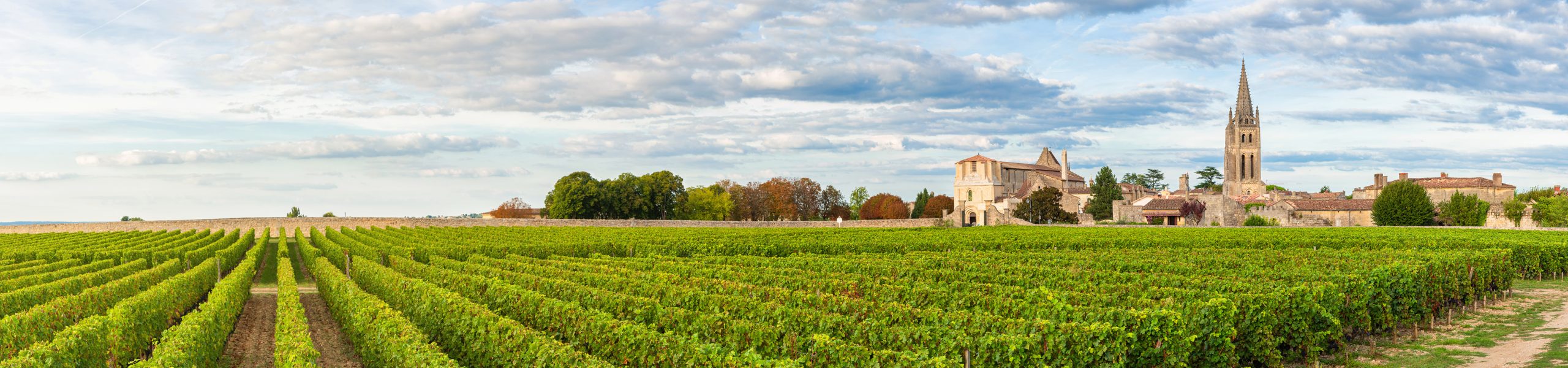 wine region 