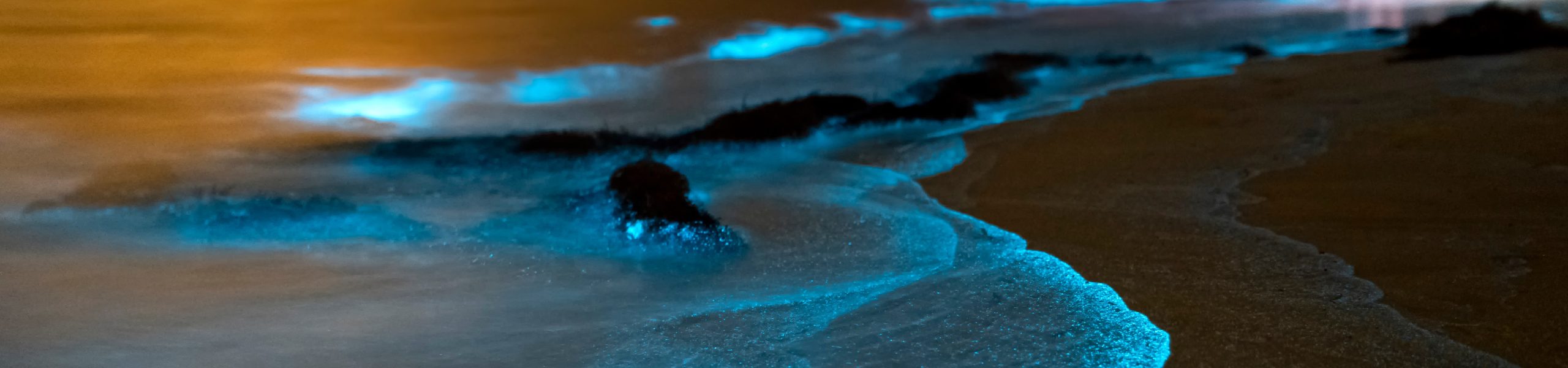 Cayman Islands activities - bioluminescence on beach