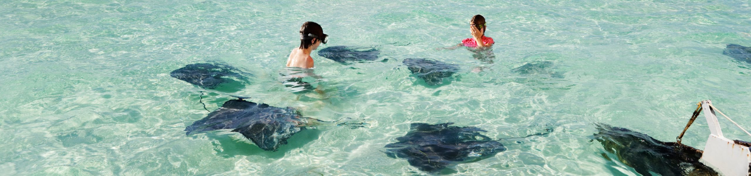 Cayman Islands Activities - children swimming with sting rays