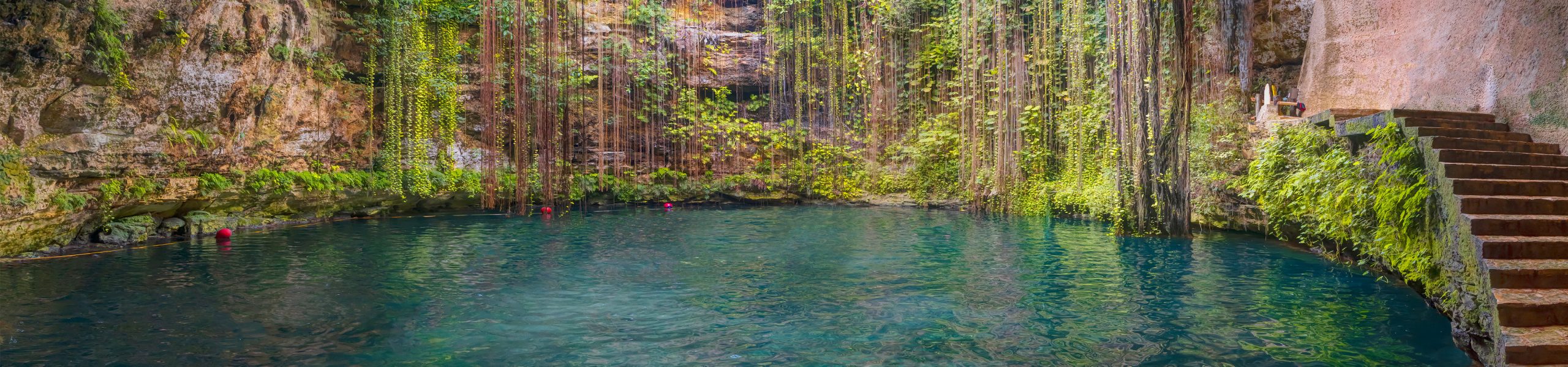 Cenotes of the Yucatan 